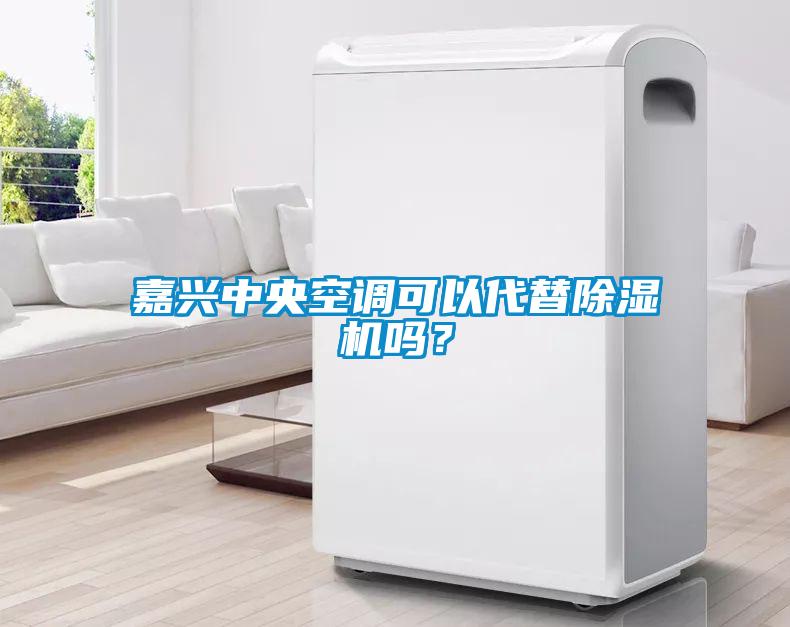 嘉興中央空調可以代替除濕機嗎？