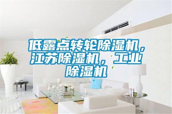 低露點轉輪除濕機，江蘇除濕機，工業除濕機