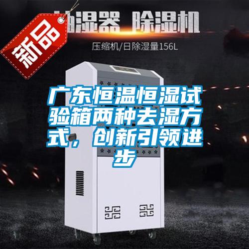 廣東恒溫恒濕試驗箱兩種去濕方式，創新引領進步