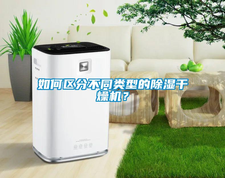 如何區分不同類型的除濕干燥機？