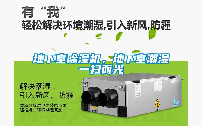 地下室除濕機，地下室潮濕一掃而光