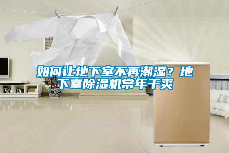 如何讓地下室不再潮濕？地下室除濕機常年干爽