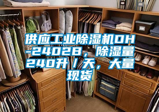 供應工業除濕機DH-2402B，除濕量240升／天，大量現貨