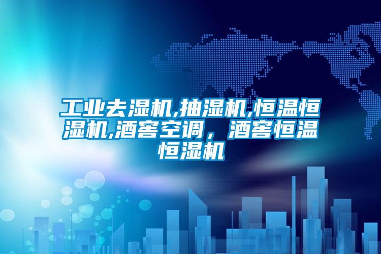 工業去濕機,抽濕機,恒溫恒濕機,酒窖空調，酒窖恒溫恒濕機