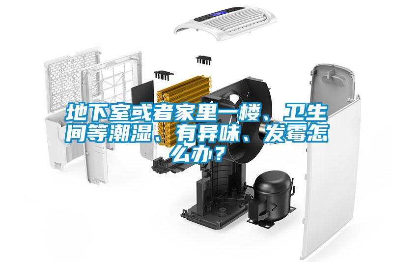 地下室或者家里一樓、衛生間等潮濕、有異味、發霉怎么辦？