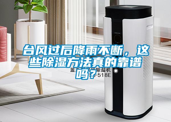 臺風過后降雨不斷，這些除濕方法真的靠譜嗎？