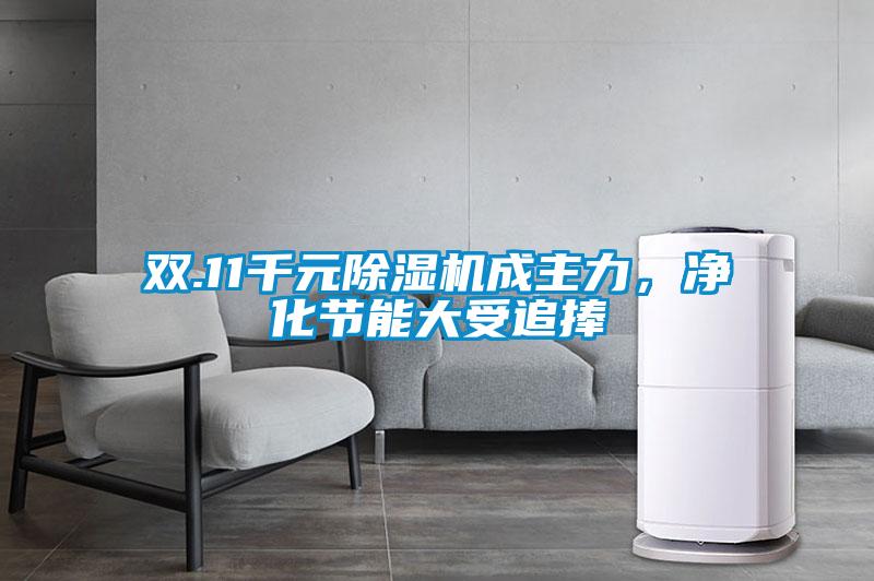 雙.11千元除濕機成主力，凈化節能大受追捧
