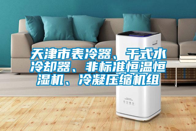 天津市表冷器、干式水冷卻器、非標準恒溫恒濕機、冷凝壓縮機組