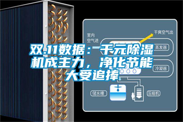 雙.11數據：千元除濕機成主力，凈化節能大受追捧
