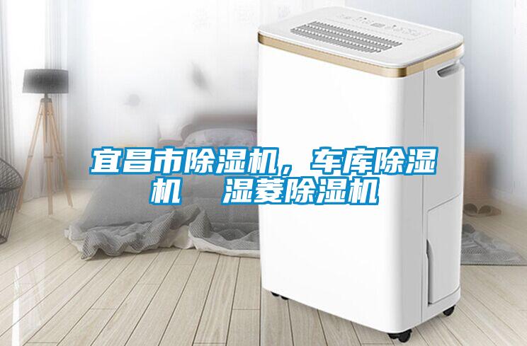 宜昌市除濕機，車庫除濕機  濕菱除濕機