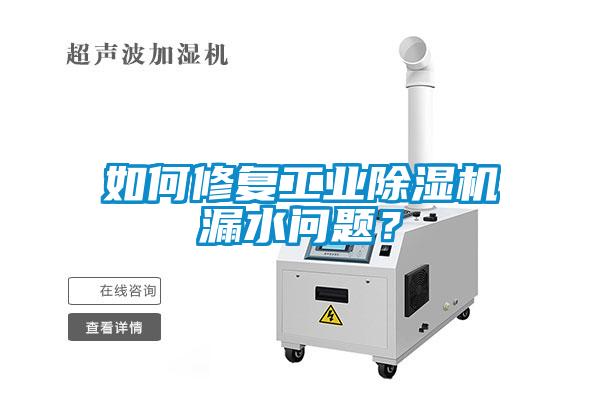 如何修復工業除濕機漏水問題？