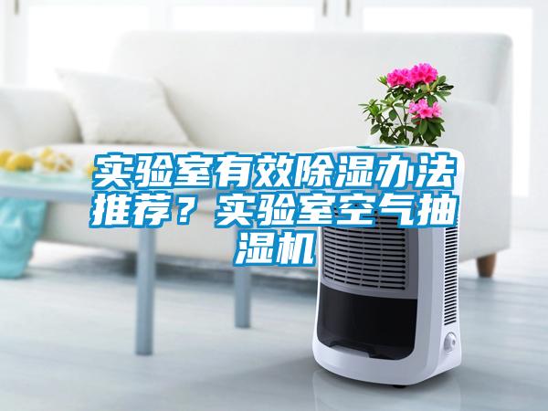 實驗室有效除濕辦法推薦？實驗室空氣抽濕機