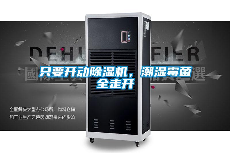 只要開動除濕機，潮濕霉菌全走開