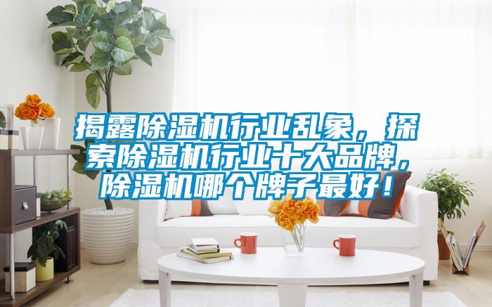 揭露除濕機行業亂象，探索除濕機行業十大品牌，除濕機哪個牌子最好！