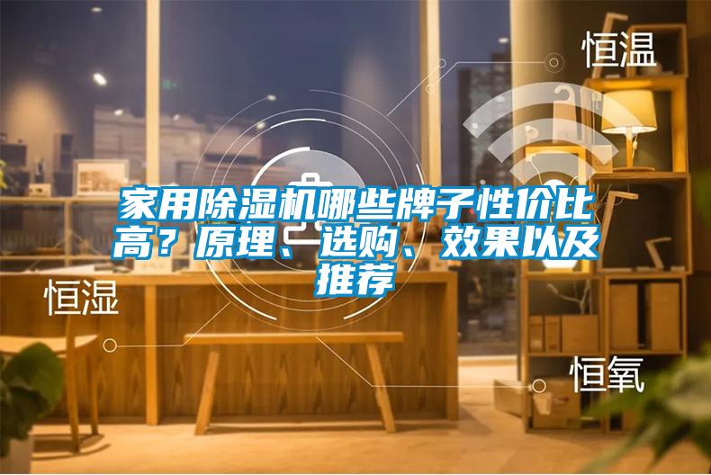 家用除濕機哪些牌子性價比高？原理、選購、效果以及推薦