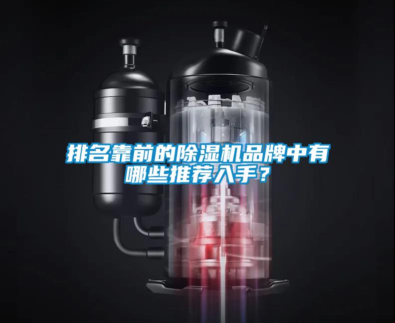 排名靠前的除濕機品牌中有哪些推薦入手？
