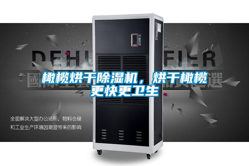 橄欖烘干除濕機，烘干橄欖更快更衛生