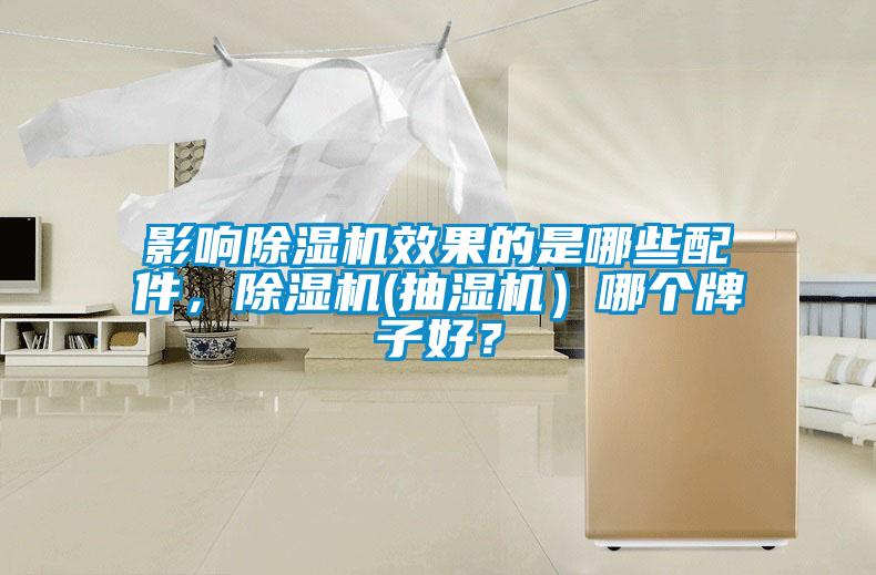 影響除濕機效果的是哪些配件，除濕機(抽濕機）哪個牌子好？