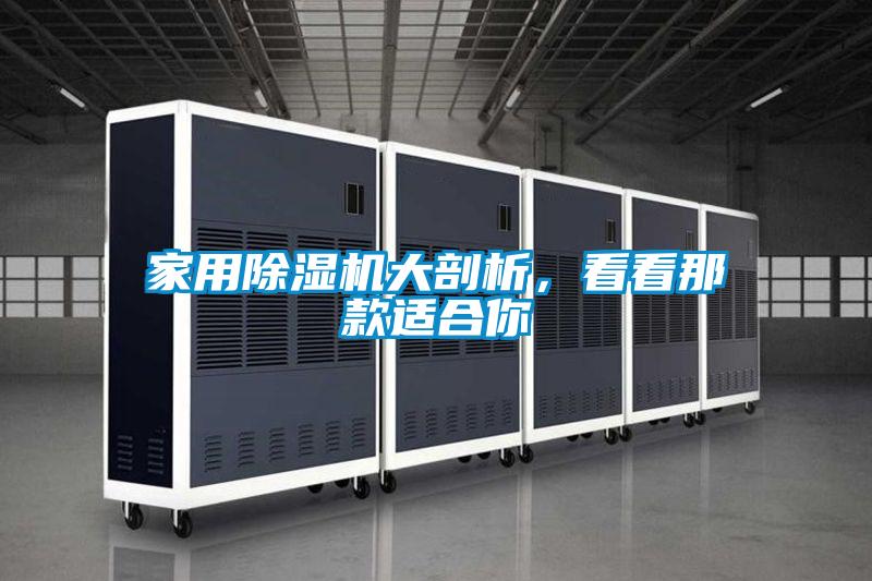 家用除濕機大剖析，看看那款適合你