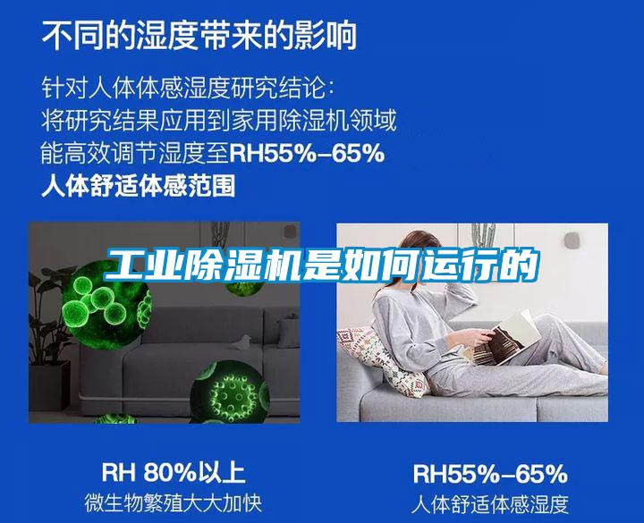 工業除濕機是如何運行的