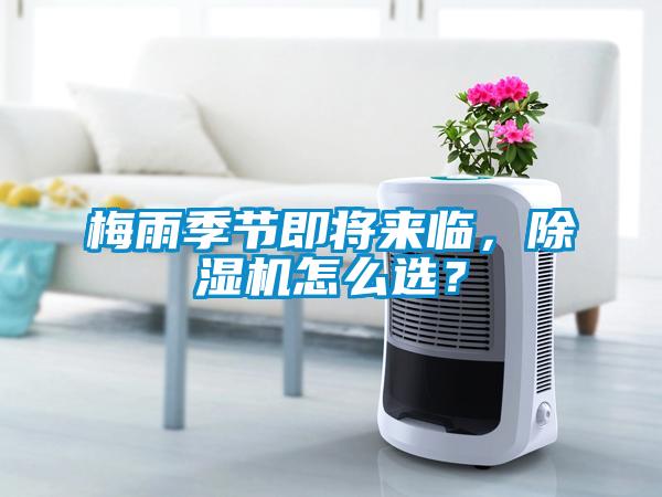梅雨季節即將來臨，除濕機怎么選？