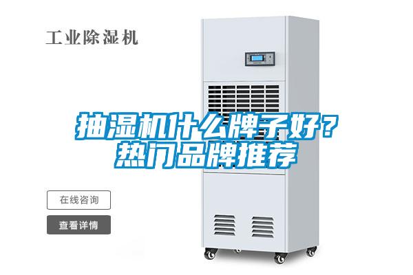 抽濕機什么牌子好？熱門品牌推薦