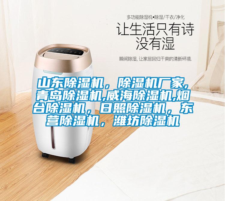 山東除濕機，除濕機廠家,青島除濕機,威海除濕機,煙臺除濕機，日照除濕機，東營除濕機，濰坊除濕機