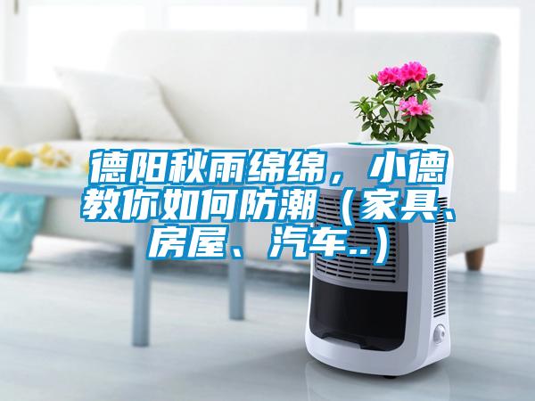德陽秋雨綿綿，小德教你如何防潮（家具、房屋、汽車..）