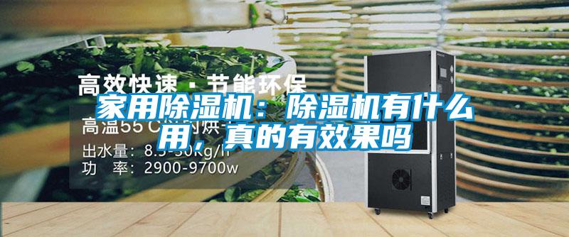 家用除濕機：除濕機有什么用，真的有效果嗎