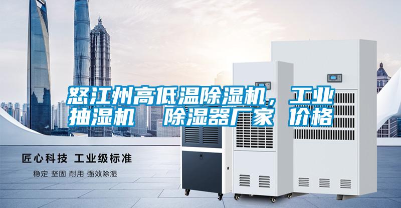怒江州高低溫除濕機，工業抽濕機  除濕器廠家 價格