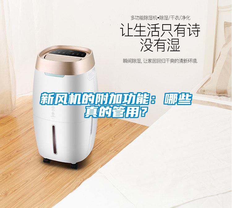 新風機的附加功能：哪些真的管用？