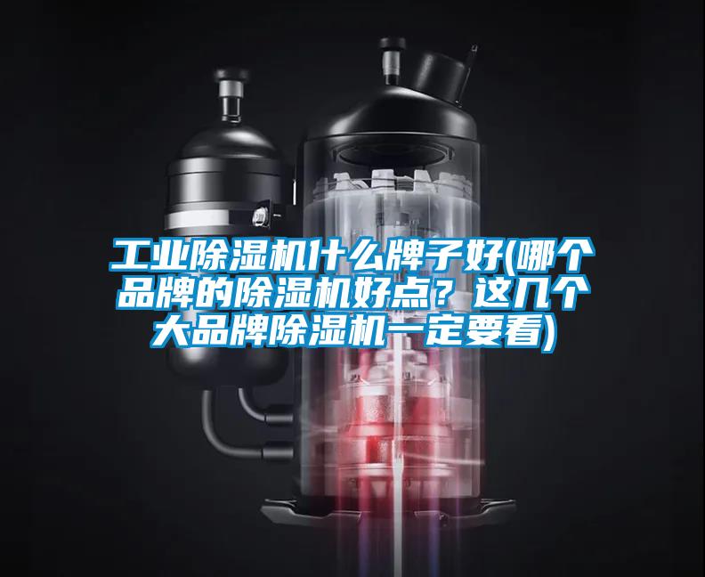 工業除濕機什么牌子好(哪個品牌的除濕機好點？這幾個大品牌除濕機一定要看)