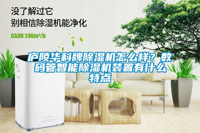 廬陵華科牌除濕機怎么樣？數碼管智能除濕機裝置有什么特點