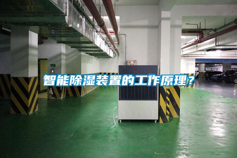 智能除濕裝置的工作原理？