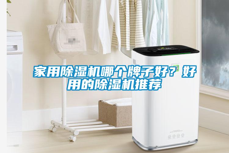 家用除濕機哪個牌子好？好用的除濕機推薦