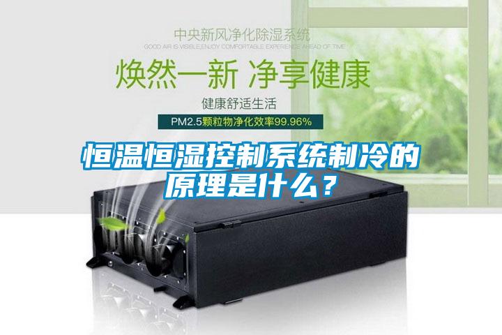 恒溫恒濕控制系統制冷的原理是什么？