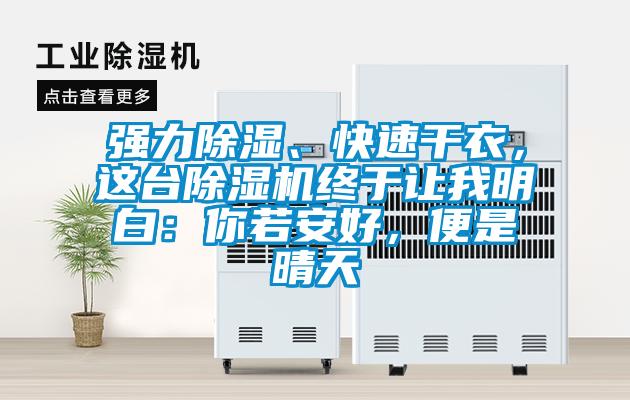 強力除濕、快速干衣，這臺除濕機終于讓我明白：你若安好，便是晴天