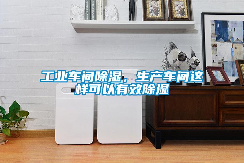 工業車間除濕，生產車間這樣可以有效除濕