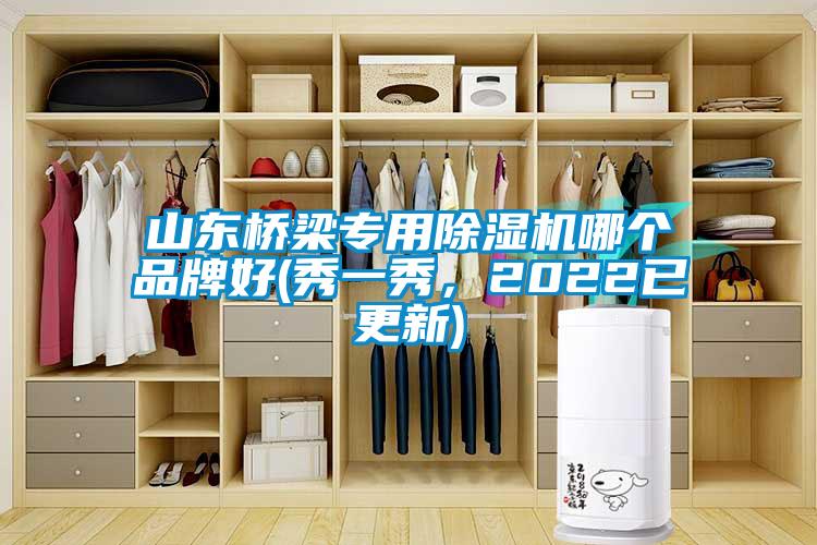 山東橋梁專用除濕機哪個品牌好(秀一秀，2022已更新)