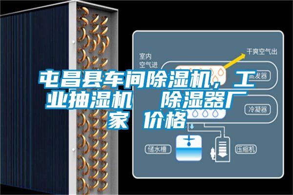 屯昌縣車間除濕機，工業抽濕機  除濕器廠家 價格