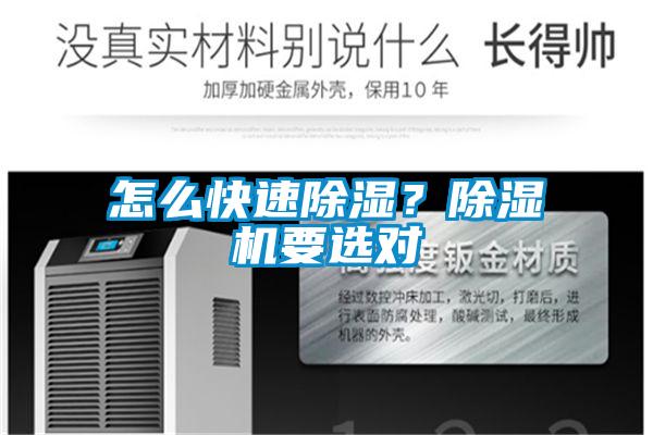 怎么快速除濕？除濕機要選對