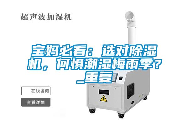 寶媽必看：選對除濕機，何懼潮濕梅雨季？_重復