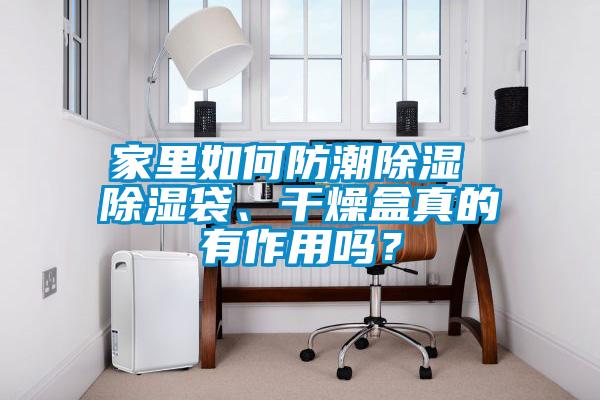 家里如何防潮除濕 除濕袋、干燥盒真的有作用嗎？