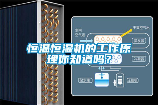 恒溫恒濕機的工作原理你知道嗎？