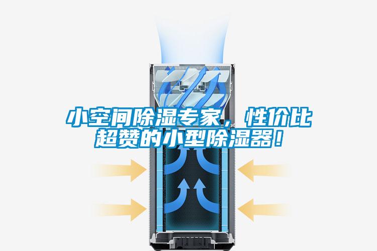 小空間除濕專家，性價比超贊的小型除濕器！
