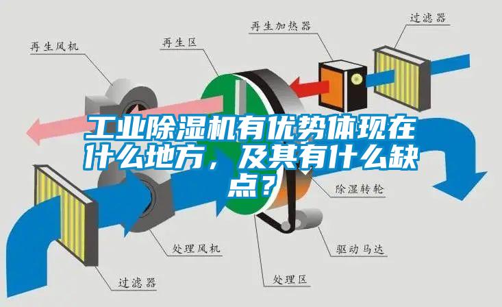 工業除濕機有優勢體現在什么地方，及其有什么缺點？