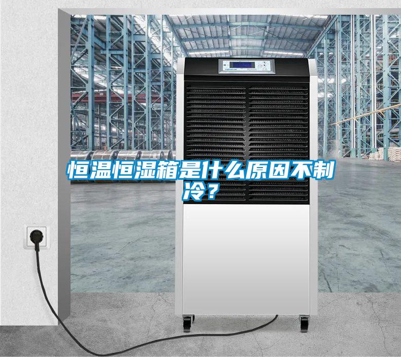 恒溫恒濕箱是什么原因不制冷？