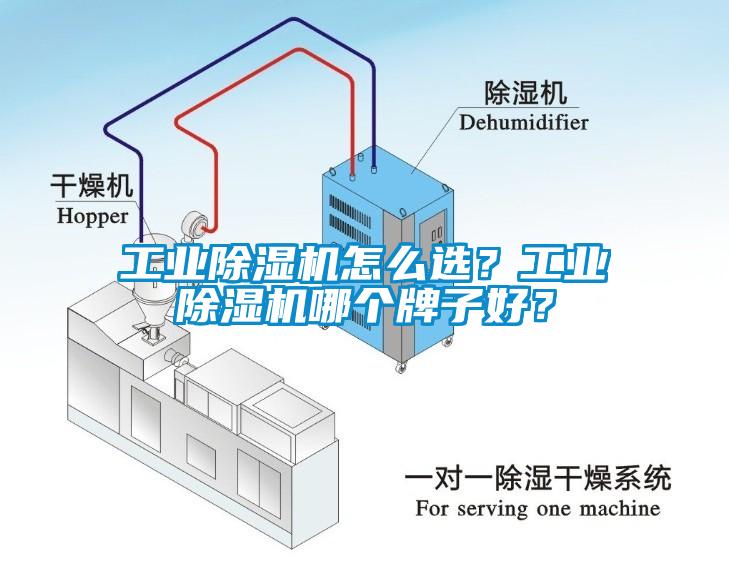 工業除濕機怎么選？工業除濕機哪個牌子好？