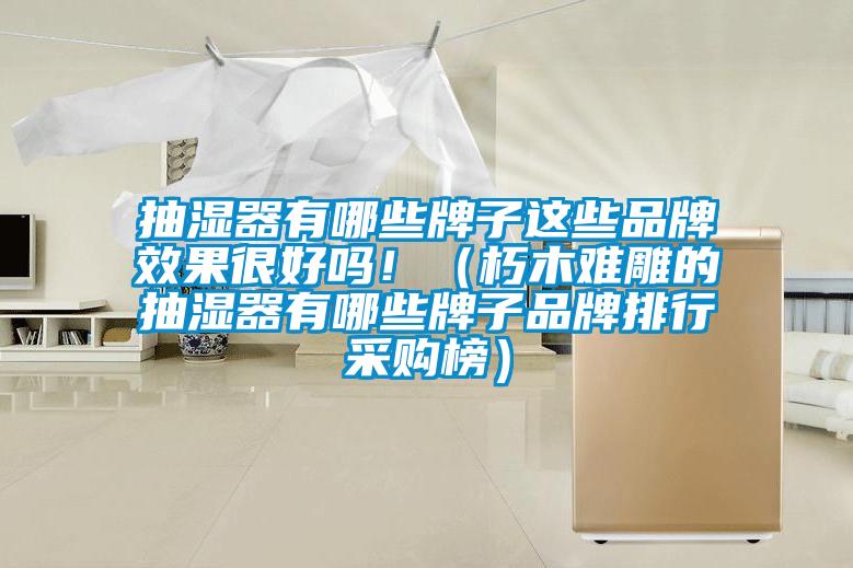 抽濕器有哪些牌子這些品牌效果很好嗎?。ㄐ嗄倦y雕的抽濕器有哪些牌子品牌排行采購榜）