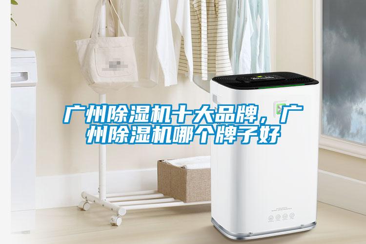 廣州除濕機十大品牌，廣州除濕機哪個牌子好